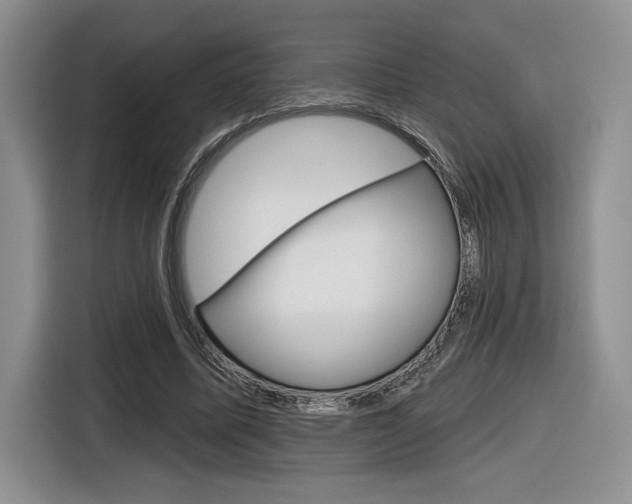 X0000116630587200912111002