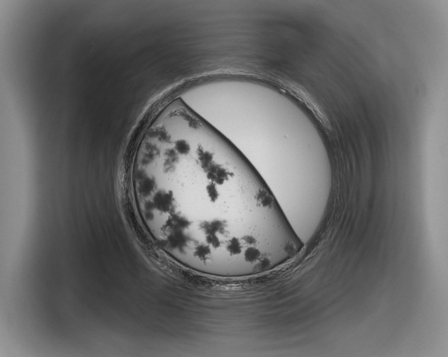 X0000116630588200912111002