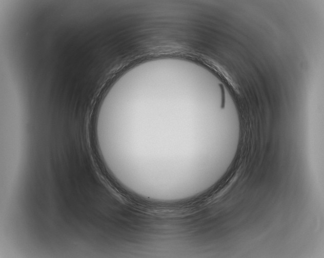 X0000116630589200912111002