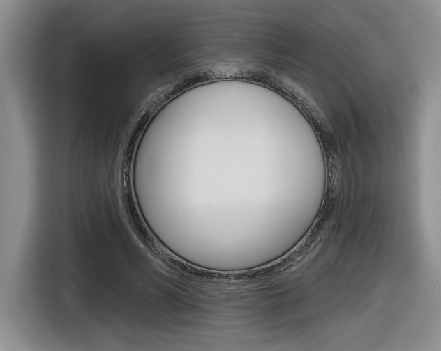 X0000116630590200912111002