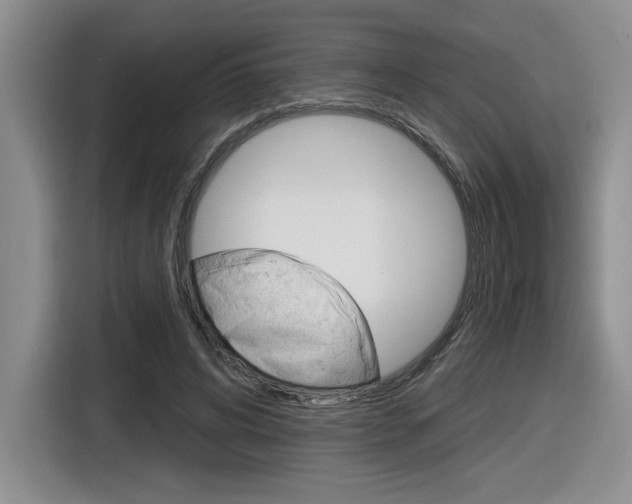 X0000116630592200912111002