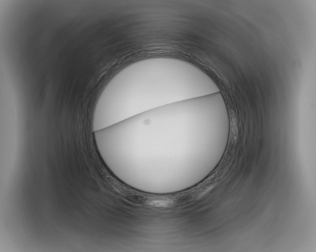 X0000116630595200912111002