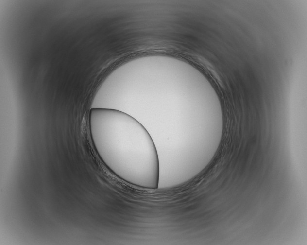 X0000116630596200912111002