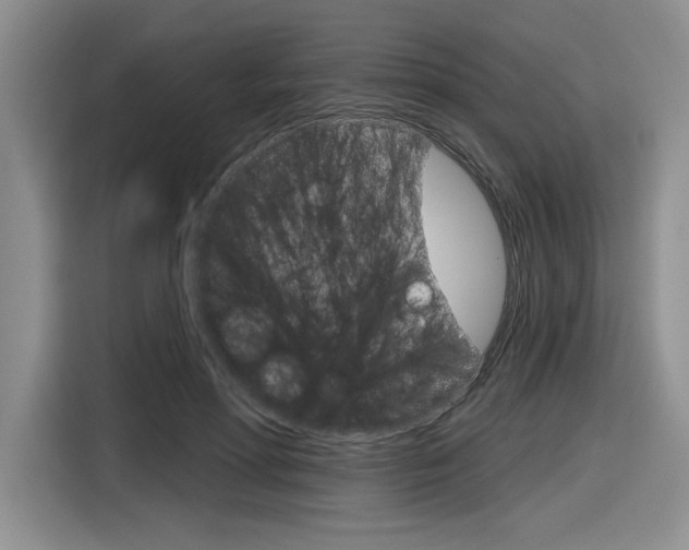 X0000116630598200912111002