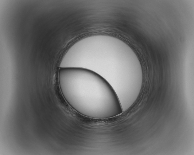 X0000116630600200912111002