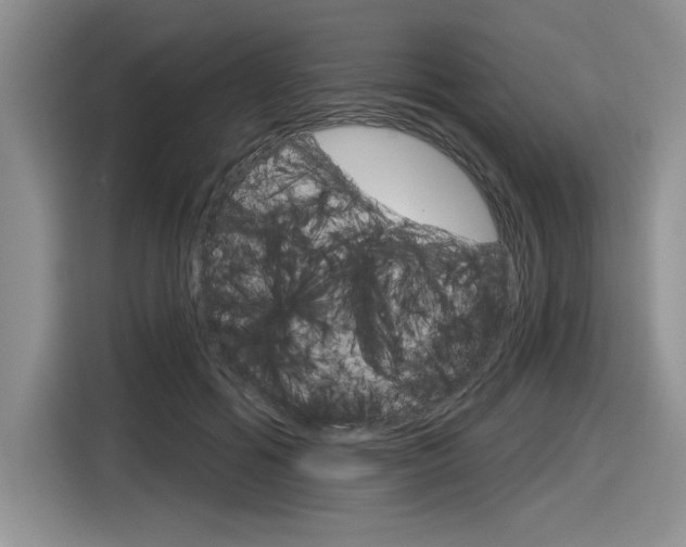 X0000116630602200912111002