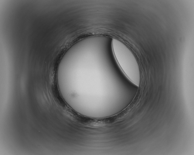 X0000116630604200912111002