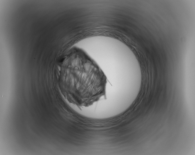 X0000116630605200912111002