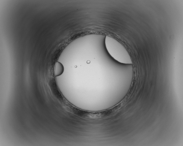 X0000116630606200912111002