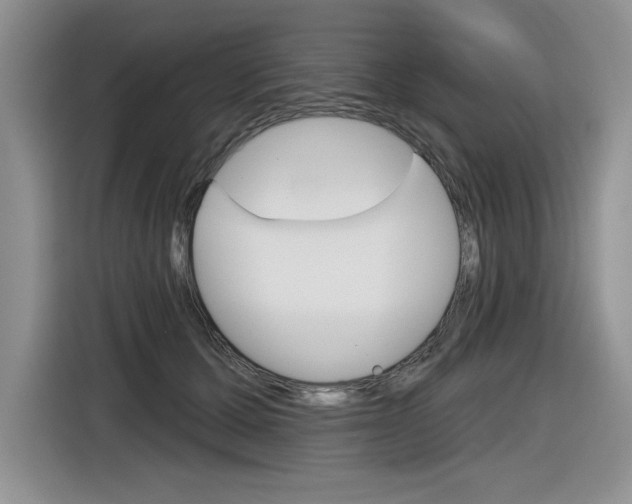 X0000116630607200912111002