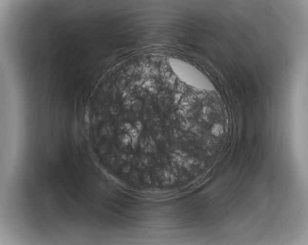 X0000116630610200912111002
