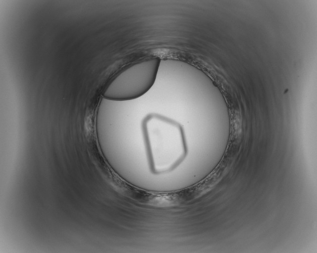 X0000116630611200912111002