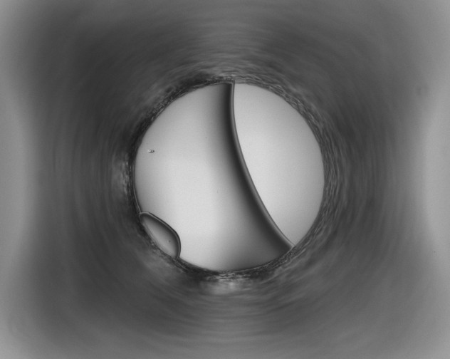 X0000116630612200912111002