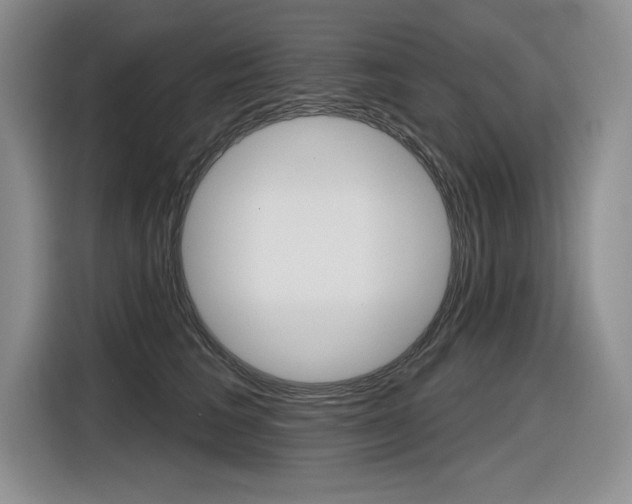 X0000116630613200912111002