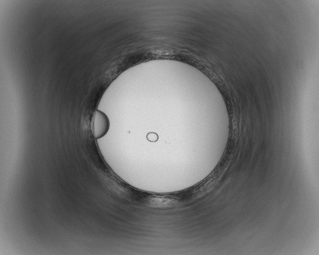 X0000116630614200912111002