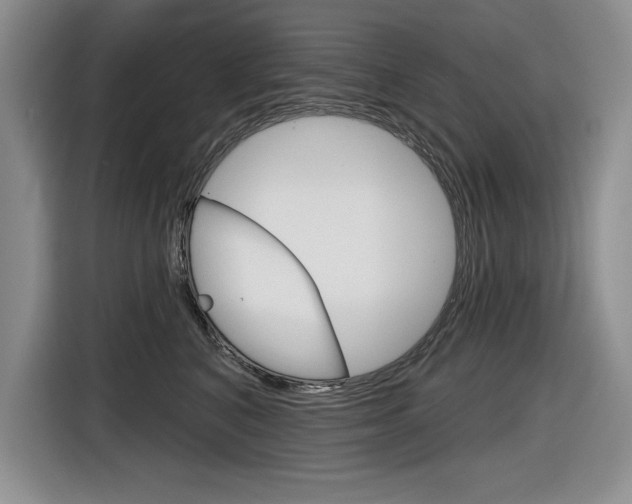 X0000116630616200912111002