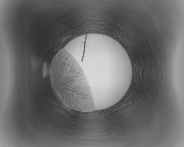 X0000116630620200912111002