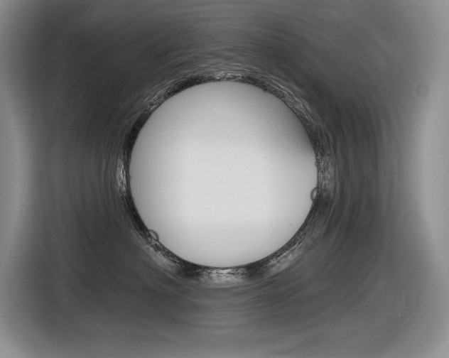 X0000116630622200912111002