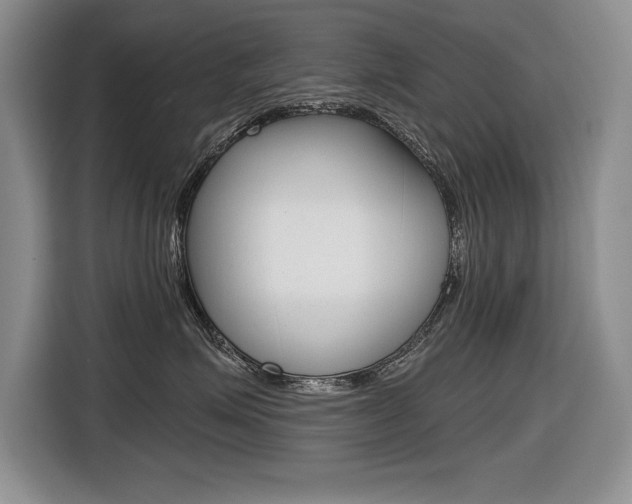 X0000116630623200912111002