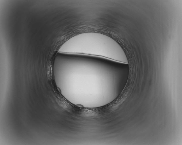 X0000116630624200912111002