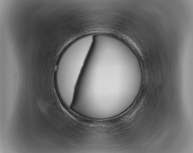 X0000116630625200912111001