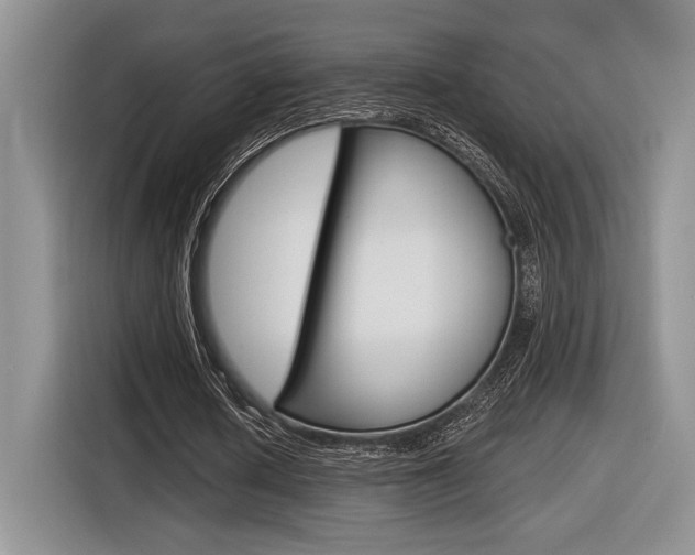 X0000116630626200912111001