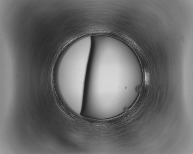 X0000116630627200912111001