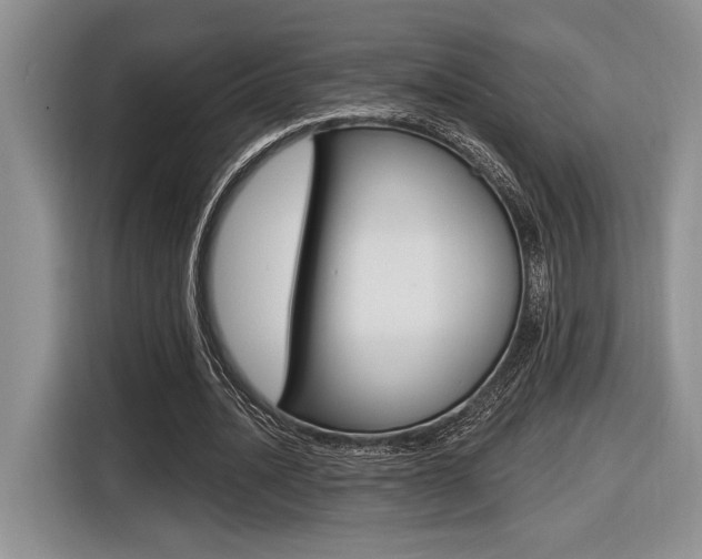 X0000116630628200912111001