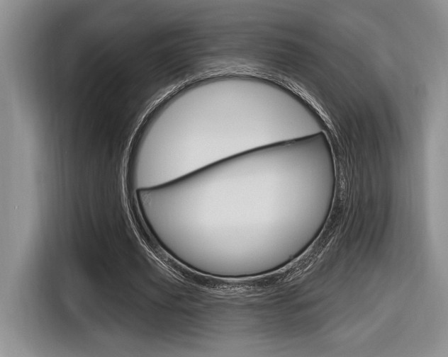 X0000116630629200912111001