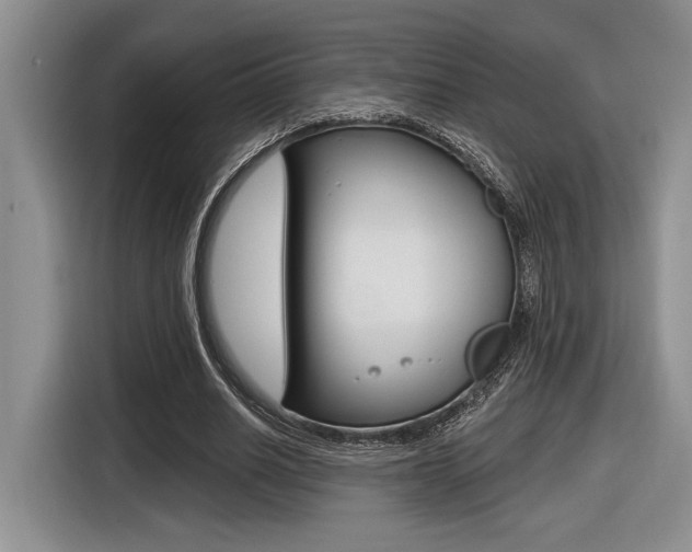X0000116630630200912111001