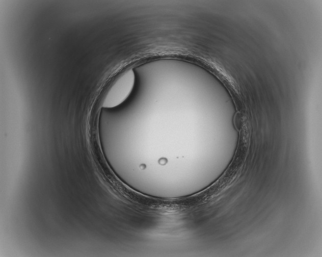 X0000116630631200912111001