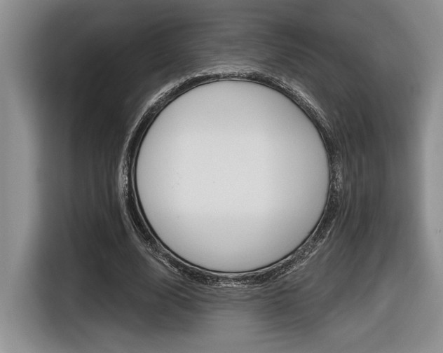 X0000116630632200912111001