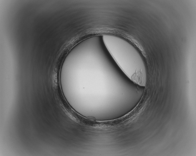 X0000116630633200912111001