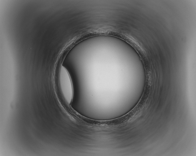 X0000116630634200912111001