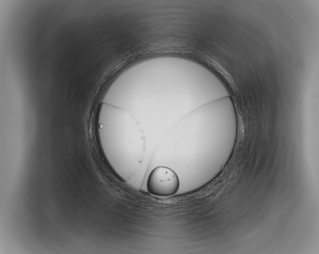 X0000116630635200912111001