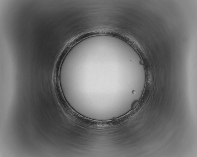 X0000116630636200912111001