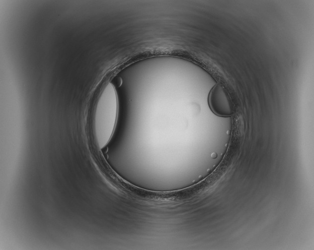 X0000116630638200912111001
