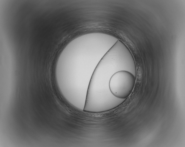 X0000116630639200912111001