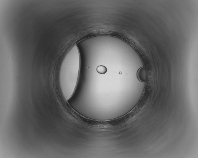 X0000116630642200912111001