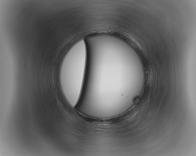X0000116630643200912111001