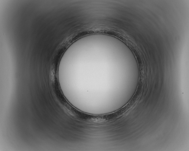 X0000116630644200912111001