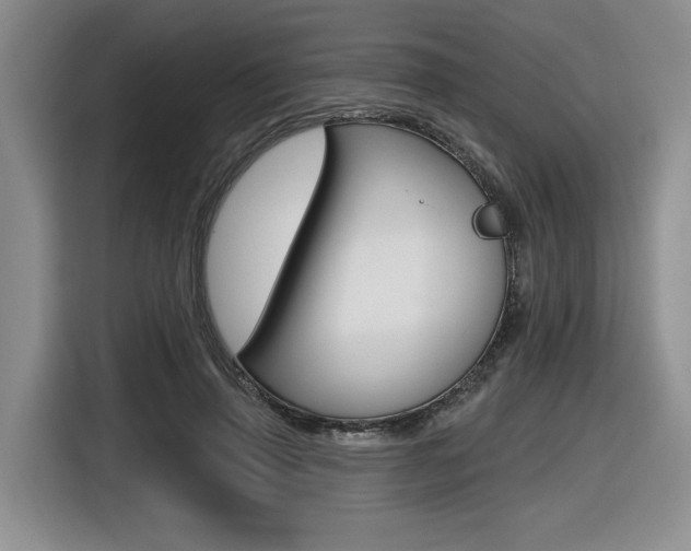 X0000116630645200912111002