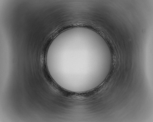 X0000116630648200912111002