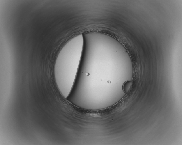 X0000116630649200912111002