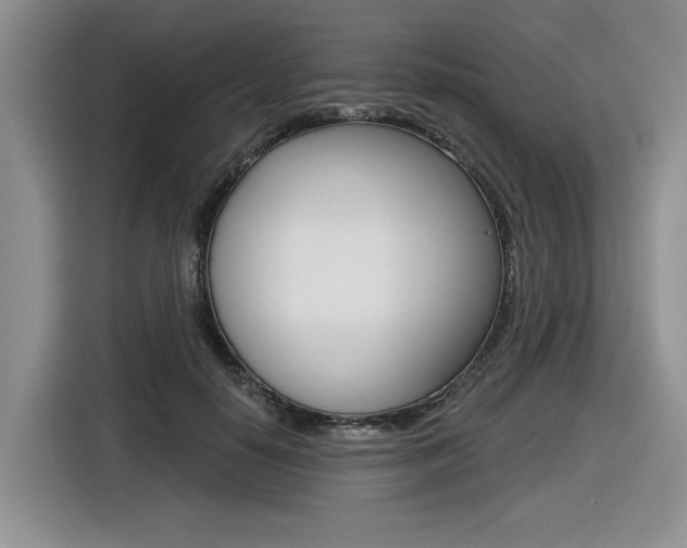 X0000116630650200912111002
