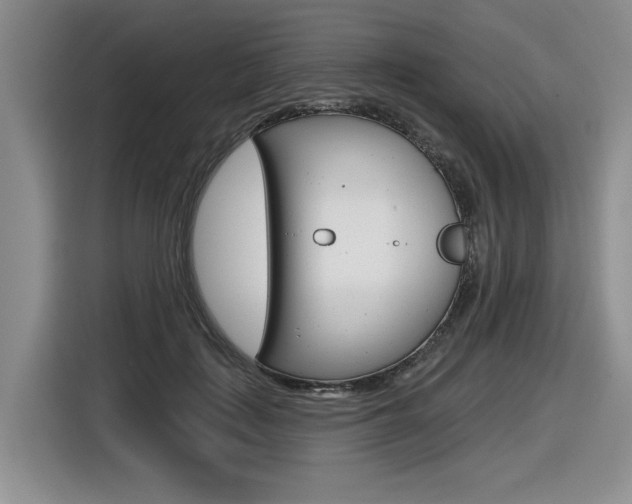 X0000116630651200912111002