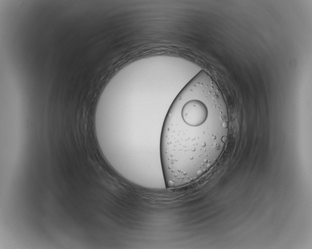 X0000116630653200912111002