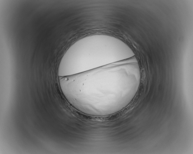 X0000116630655200912111002