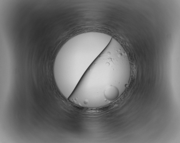 X0000116630657200912111002