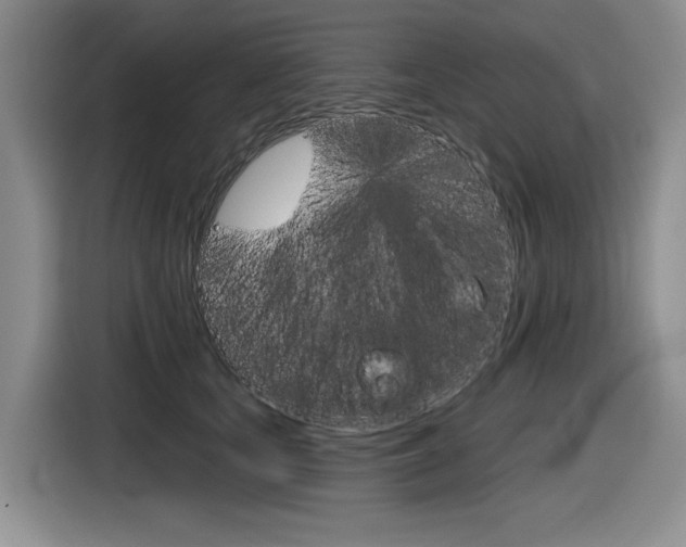 X0000116630659200912111002